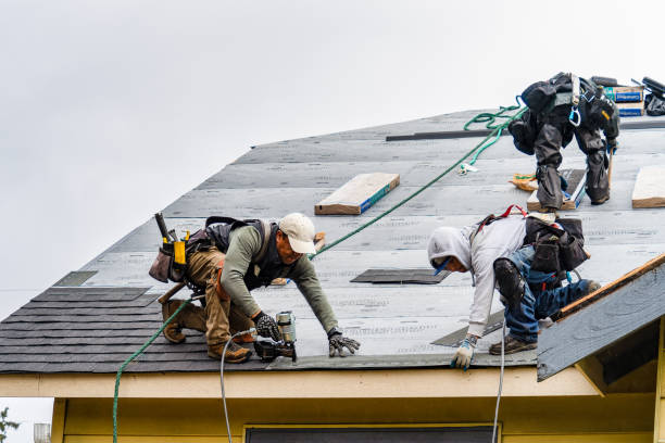 Professional Gutter Installation technician working in Charmco, WV
